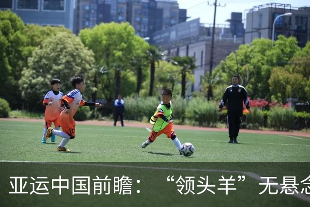亚运中国前瞻：“领头羊”无悬念 “含金量”见真章